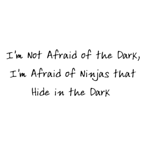 I'm Not Afraid of the Dark, I'm Afraid of Ninjas that Hide in the Dark 