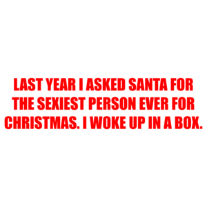 LAST YEAR I ASKED SANTA FOR THE SEXIEST PERSON EVER FOR CHRISTMAS. I WOKE UP IN A BOX.