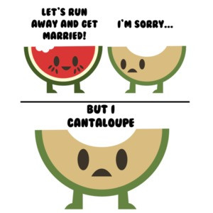 Let's Run Away And Get Married! I'm Sorry but I cantaloupe. Pun