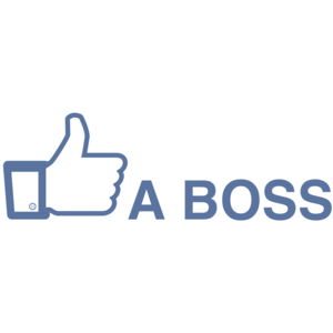 Like A Boss Funny Facebook