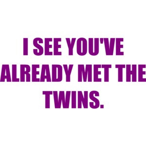 I SEE YOU'VE ALREADY MET THE TWINS.