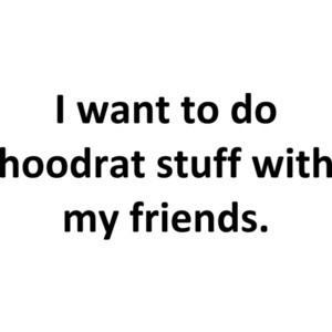 I want to do hoodrat stuff with my friends. Funny Internet 