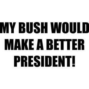 MY BUSH WOULD MAKE A BETTER PRESIDENT!