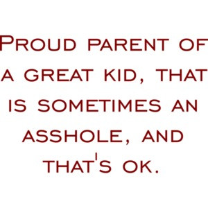 Proud parent of a great kid that is sometimes an asshole and that's ok - funny