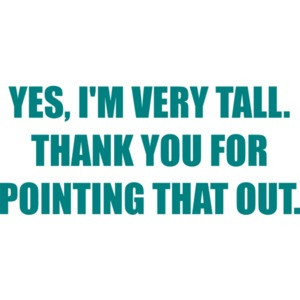 YES, I'M VERY TALL. THANK YOU FOR POINTING THAT OUT.