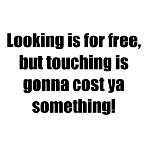 Looking is for free, but touching is gonna cost ya something!