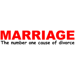 Marriage The Number One Cause Of Divorce Funny