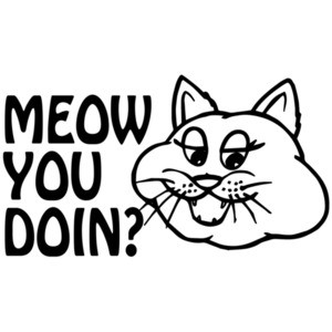 Meow You Doin?