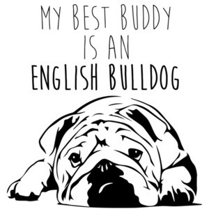 My best buddy is an english bulldog - bulldog / english bulldog