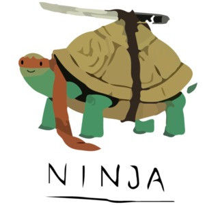 Ninja Turtle Funny