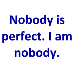 Nobody is perfect. I am nobody.