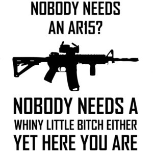 Nobody needs an ar15? Nobody needs a whiny - pro gun