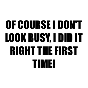 OF COURSE I DON'T LOOK BUSY, I DID IT RIGHT THE FIRST TIME!