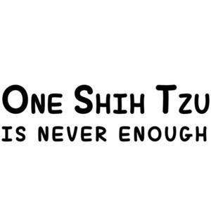 One Shih Tzu is never enough - Shih Tzu