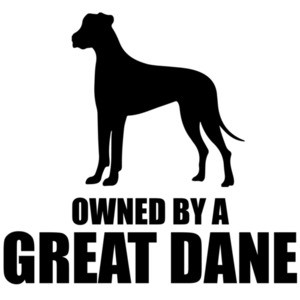 Owned by a great dane - great dane