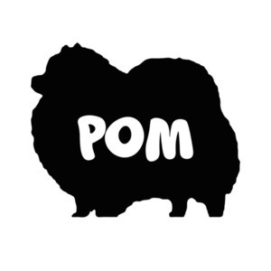 POM - Pomeranian