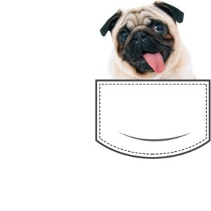 Pug in pocket - pocket pet