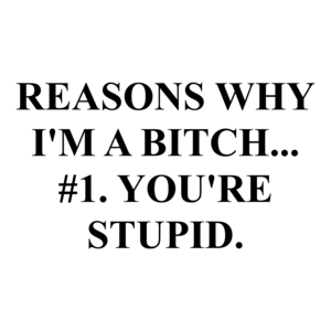 REASONS WHY I'M A BITCH... #1. YOU'RE STUPID.