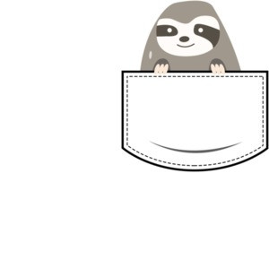 Sloth in pocket - pocket pet