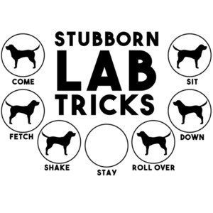 Stubborn Lab Tricks - Labrador
