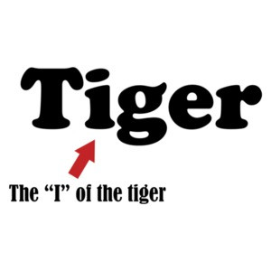 The I Of The Tiger