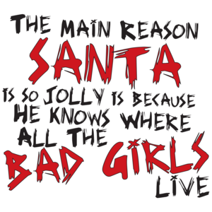 The Main Reason Santa Is So Jolly Is Because He Knows Where All The Bad Girls Live 