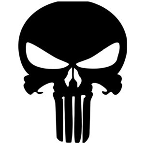 The punisher skull