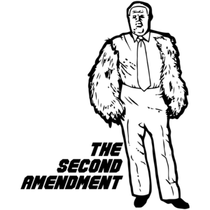 The Second Amendment