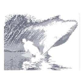 10x10_ski_cutout-blue Light T-Shirt