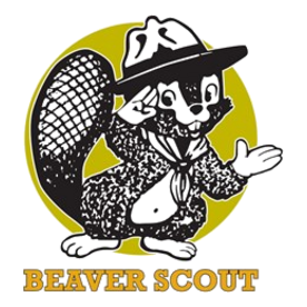 10x10BeaverScoutBlk