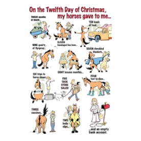 12 Days unisex tee shirt Light T-Shirt