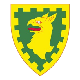 15th Military Police Br Light T-Shirt