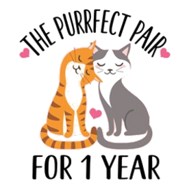 1st Anniversary Cat Couple