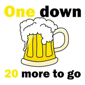 20 More To Go Toddler T-Shirt