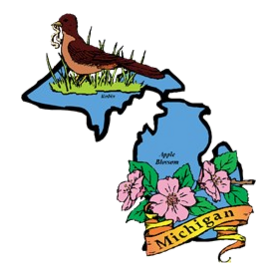 21306519-Michigan-map