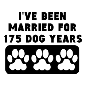 25th Anniversary Dog Years