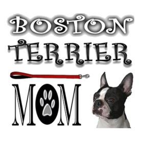 2BOSTONMOM