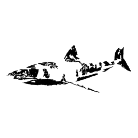 2-Great White - Black copy.png