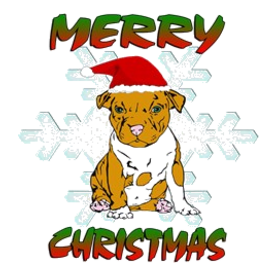 2-santapit Youth Football Shirt