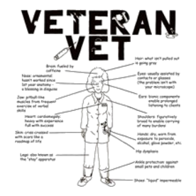 2-veteranvetfemaleuse