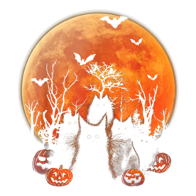 Black Cats Moon Pumpkin Funny Halloween Horror Gifts T-Shirt