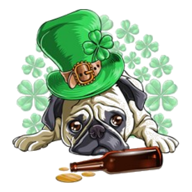 Drunk Pug St. patricks Day