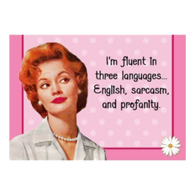 English Sarcasm Profanity