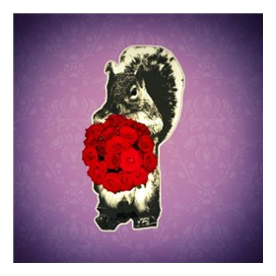 funny Squirrel valentine's day