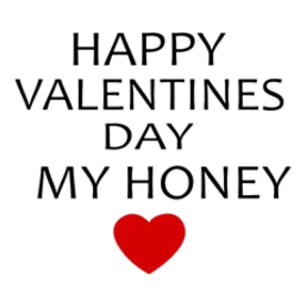 Hapy Valentines Day My Honey