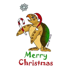 Sea Turtle Christmas