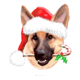 Tan Shep Christmas