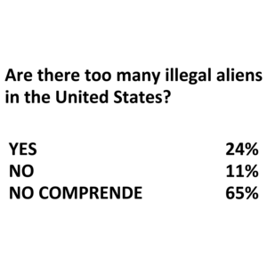 Too Many Illegal Aliens