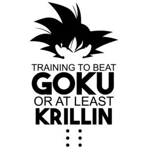 Training to beat Goku or at least krillin - dragon ball