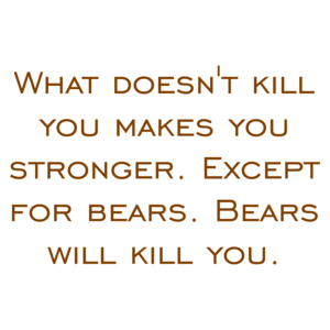 What doesn't kill you makes you stronger. Except for bears. Bears will kill you.